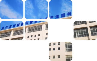 攜手清華高端裝備與智能制造產(chǎn)業(yè)園，共啟科技孵化新篇章——企業(yè)技術(shù)服務(wù)招商啟動(dòng)