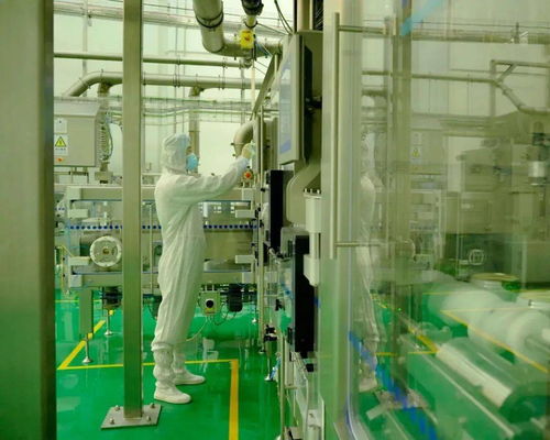 從肩扛奶粉到數(shù)字人 中國草根創(chuàng)業(yè)者的技術(shù)轉(zhuǎn)型之路